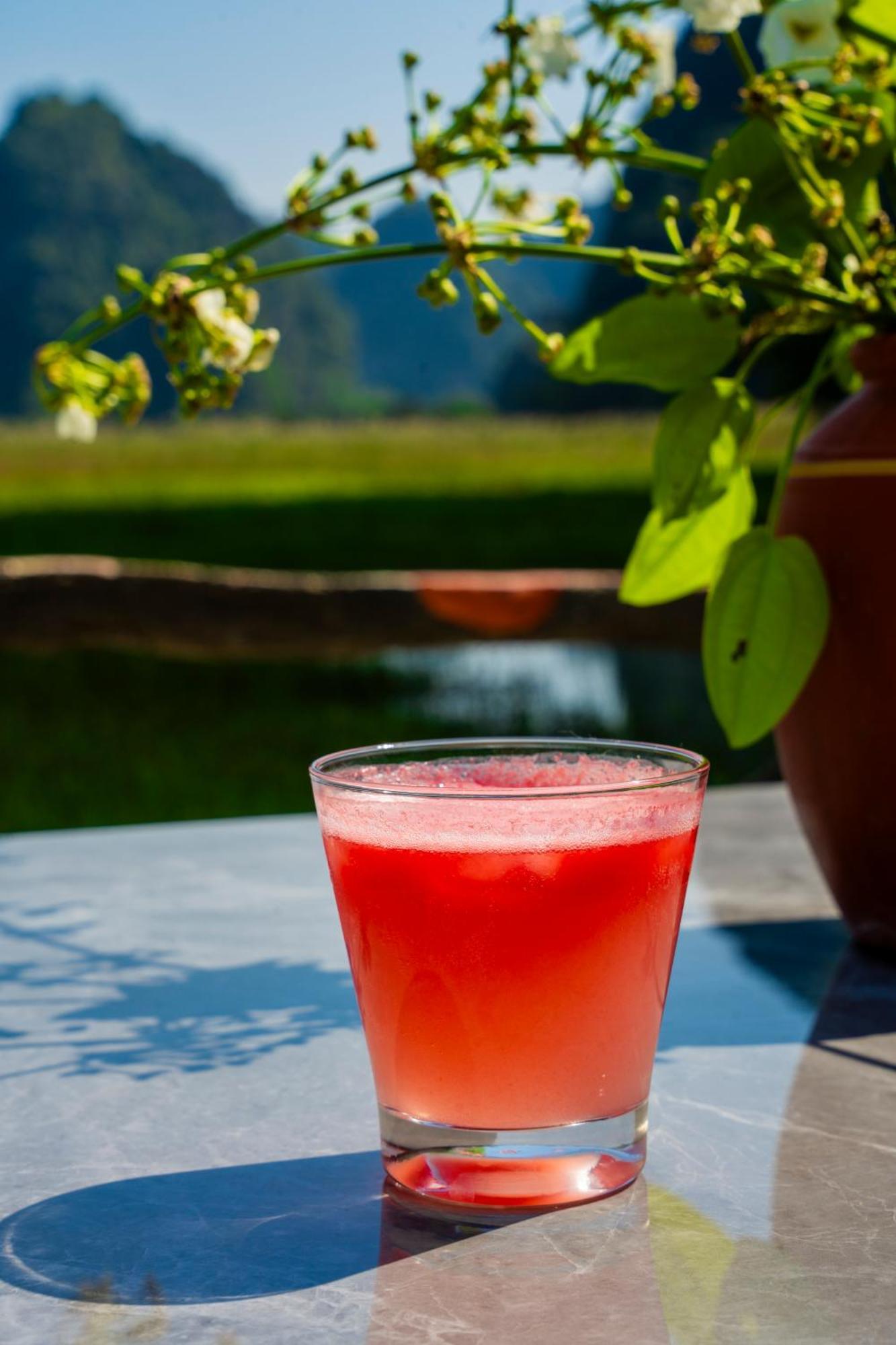 Lotus Field Homestay Ninh Bình Kültér fotó